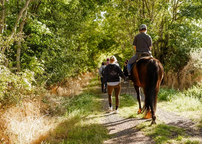 Apartamento Tante Schmidt 3 Staberdorf