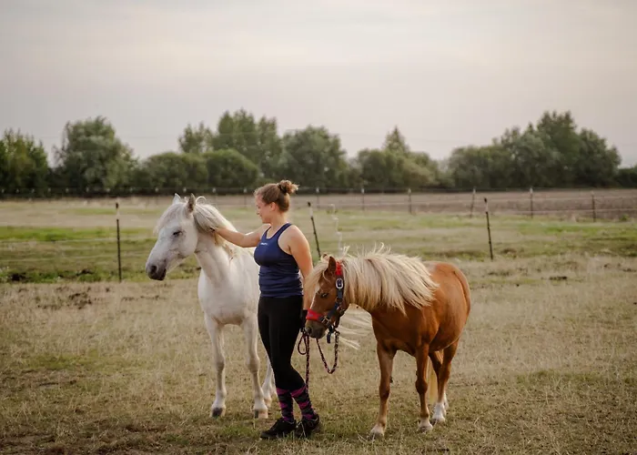 Tante Schmidt 3 Apartamento