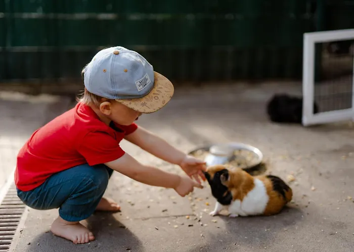 Apartamento Tante Schmidt 3