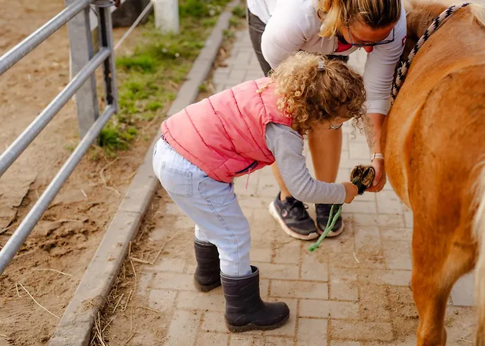 Tante Schmidt 3 Apartamento
