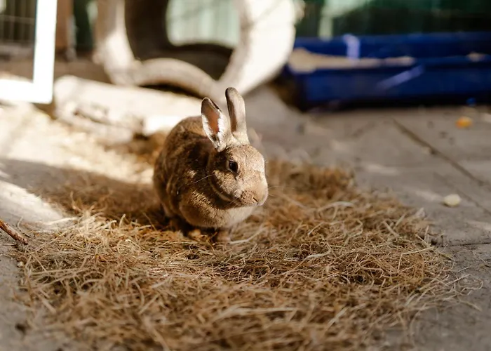 Apartamento Tante Schmidt 3 Staberdorf